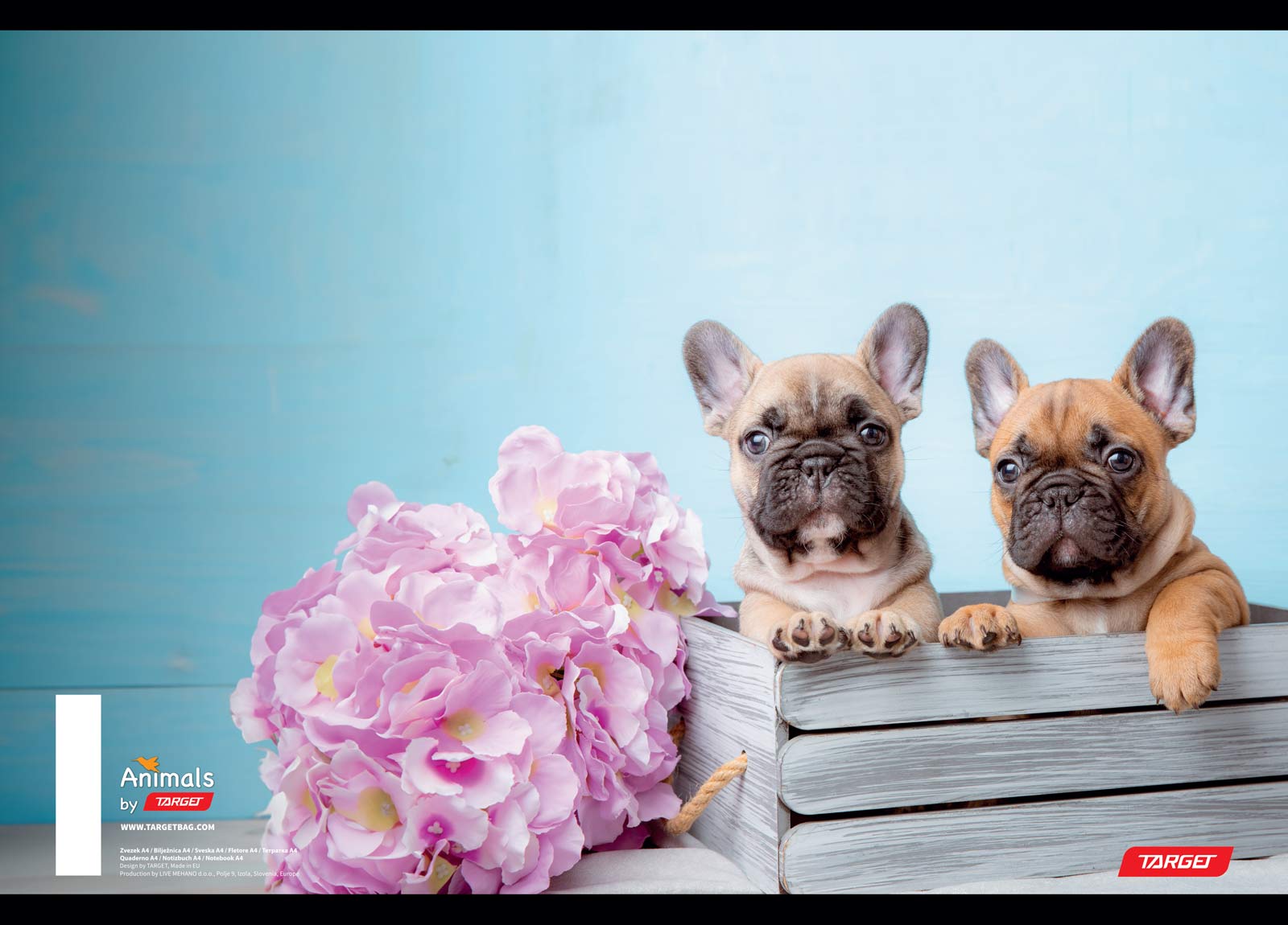 SVESKA A4 MP VELIKA KOCKA ANIMAL BABY